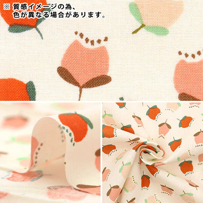 [Cantidad a partir de 5] Tela 『láminas Pigmy World Floral Grey AP31702-3E"