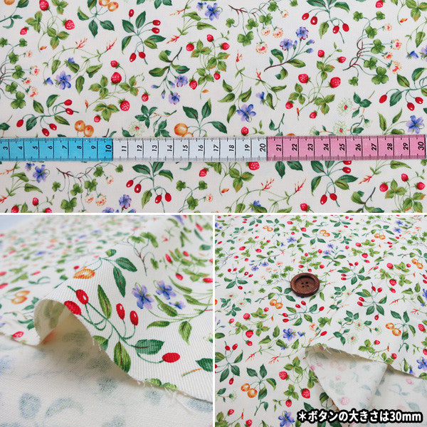 [Quantity from 5] Fabric "Twill Print Fruit & Floral Pattern KSP4894-A" COTTON KOBAYASHI