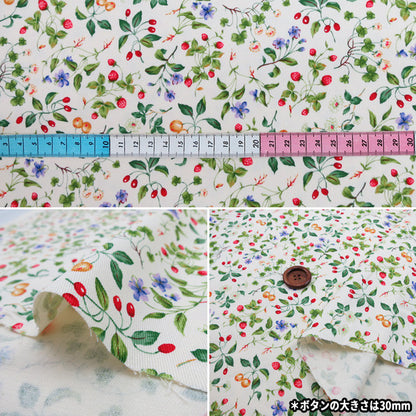 [Quantity from 5] Fabric "Twill Print Fruit & Floral Pattern KSP4894-A" COTTON KOBAYASHI