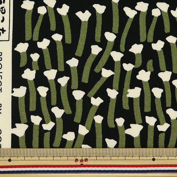 【数量5から】 生地 『う早この布 10番キャンバス カラー花 ナチュラル UP5797-C』 COTTON KOBAYASHI コットンこばやし 小林繊維