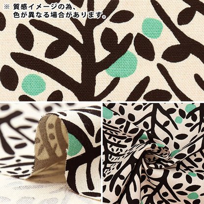 【数量5から】 生地 『綿麻キャンバス こだち UP5781-D』 COTTON KOBAYASHI コットンこばやし 小林繊維