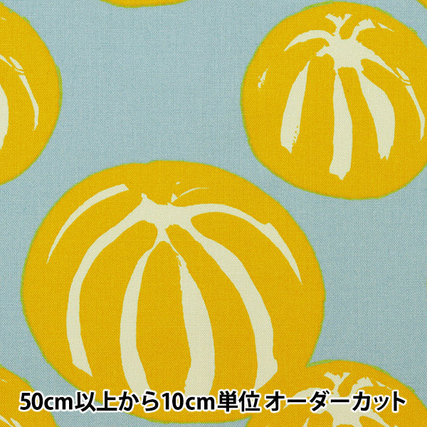 【数量5から】 生地 『う早この布 10番キャンバス スイカ 灰色 UP5814-C』 COTTON KOBAYASHI コットンこばやし 小林繊維