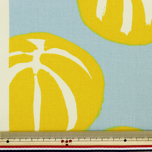 【数量5から】 生地 『う早この布 10番キャンバス スイカ 灰色 UP5814-C』 COTTON KOBAYASHI コットンこばやし 小林繊維
