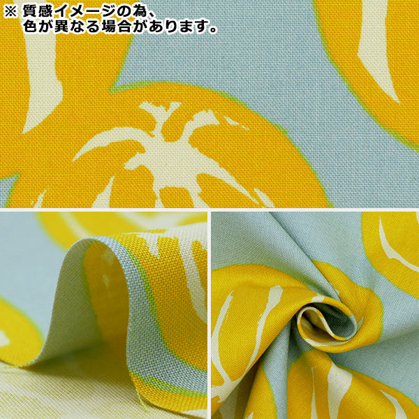 【数量5から】 生地 『う早この布 10番キャンバス スイカ グレージュ UP5814-D』 COTTON KOBAYASHI コットンこばやし 小林繊維