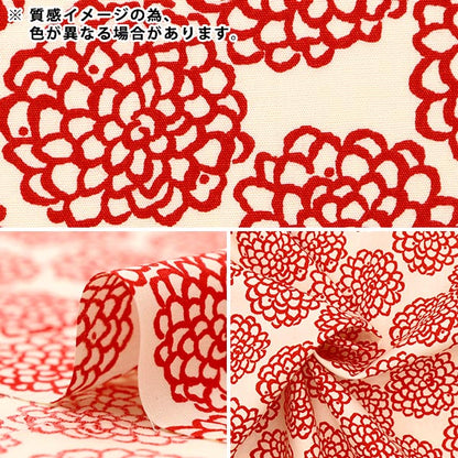 【数量5から】 生地 『う早この布 ブロード ミニダリア UP5865-B』 COTTON KOBAYASHI コットンこばやし 小林繊維
