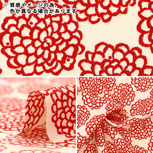 【数量5から】 生地 『う早この布 ブロード ミニダリア UP5865-D』 COTTON KOBAYASHI コットンこばやし 小林繊維