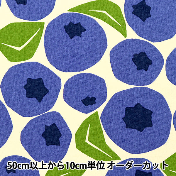 【数量5から】 生地 『う早この布 コットンキャンバス ブルーベリー UP5853-A』 COTTON KOBAYASHI コットンこばやし 小林繊維