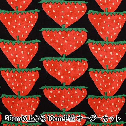 【数量5から】 生地 『う早この布 10番キャンバス いちご UP5859-C』 COTTON KOBAYASHI コットンこばやし 小林繊維
