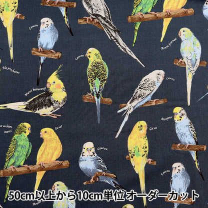 【数量5から】 生地 『ツイルプリント インコ ネイビー KTS6954-E』 COTTON KOBAYASHI コットンこばやし 小林繊維