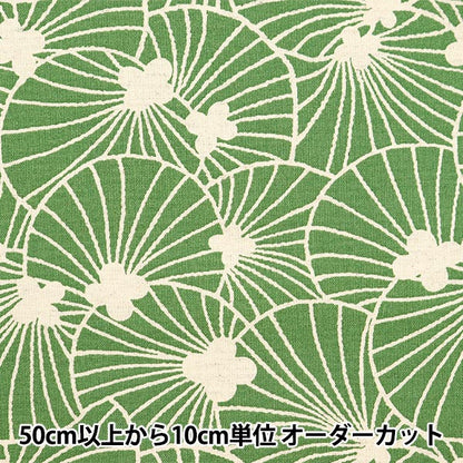 【数量5から】 生地 『う早この布 綿麻キャンバス シェル ウスミドリ×キナリ UP5890-D』 COTTON KOBAYASHI コットンこばやし 小林繊維