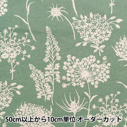 [Menge ab 5] Stoff "Usako-Stoff, Baumwolle, Leinwand, Schattenblume, grün bis 5886-e" COTTON KOBAYASHI