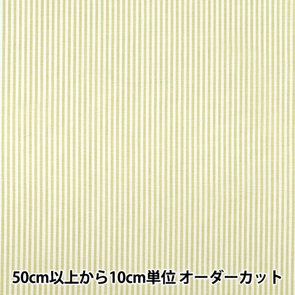 【数量5起】 織物 先染条纹浅绿色25sts - lgr"