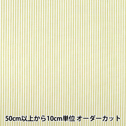 【数量5起】 織物 先染条纹浅绿色25sts - lgr"