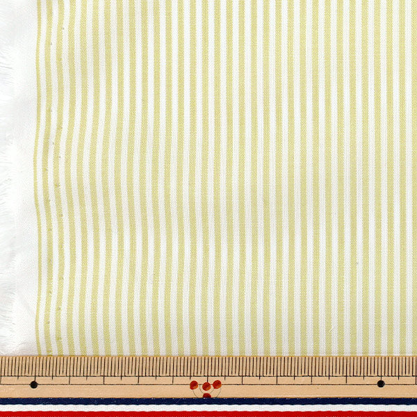 【数量5起】 織物 先染条纹浅绿色25sts - lgr"