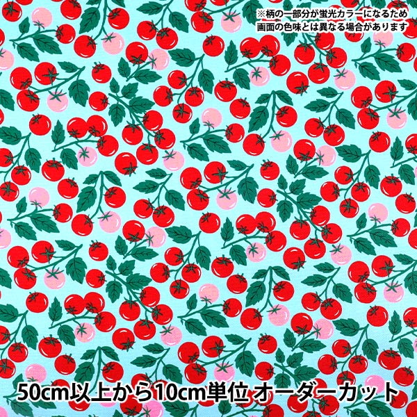 [Quantité à partir de 5] Tissu "Oxford Bleu tomate néon ONT-1BL »