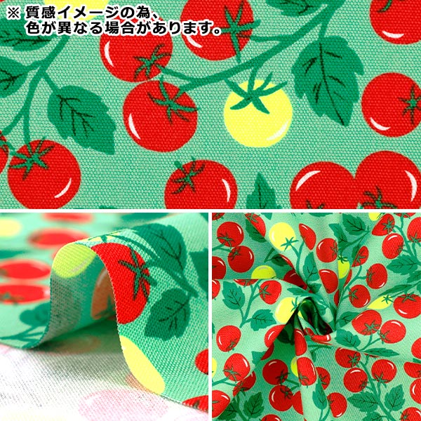 [Quantité à partir de 5] Tissu "Oxford Bleu tomate néon ONT-1BL »