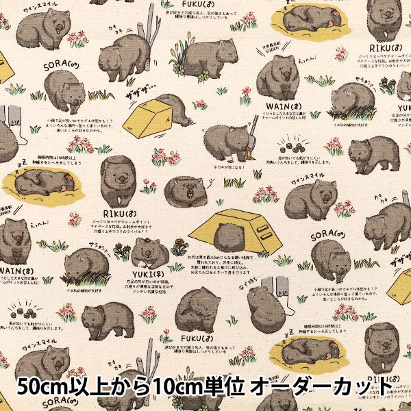 【数量5起】 織物 "牛津布 《球棒2》AP65905-1A