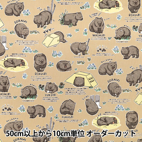 【数量5起】 織物 "牛津布 韩元蝙蝠2米色AP65905-1C