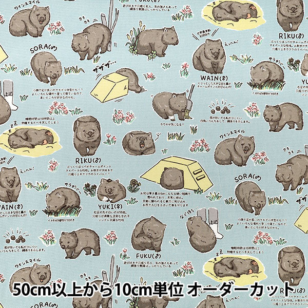 【数量5から】 生地 『オックス ウォンバット2 ブルー AP65905-1E』
