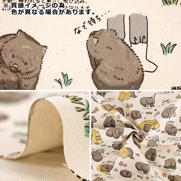 【数量5起】 織物 "牛津布 韩元蝙蝠2米色AP65905-1C