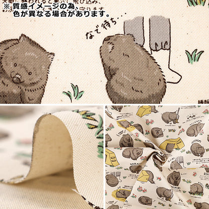 【数量5起】 織物 "牛津布 韩元蝙蝠2米色AP65905-1C