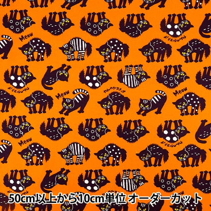 【数量5から】 生地 『オックス パキットアニマル やんのかネコ オレンジ AP65901-1E』