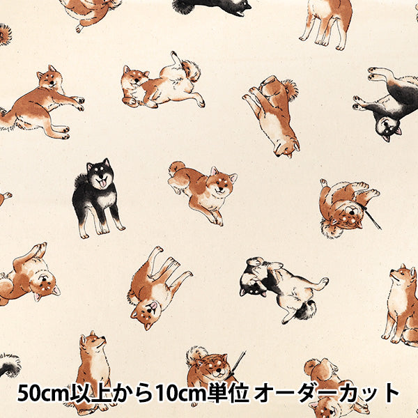 [Quantità da 5] Tessuto "Oxford Shiba Inu Kinari SP6512-2A”
