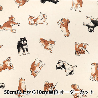 [Quantità da 5] Tessuto "Oxford Shiba Inu Kinari SP6512-2A”
