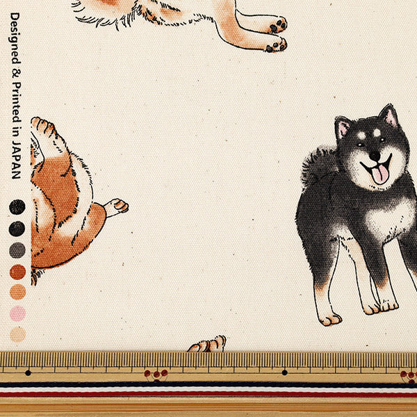 [Quantità da 5] Tessuto "Oxford Shiba Inu Kinari SP6512-2A”