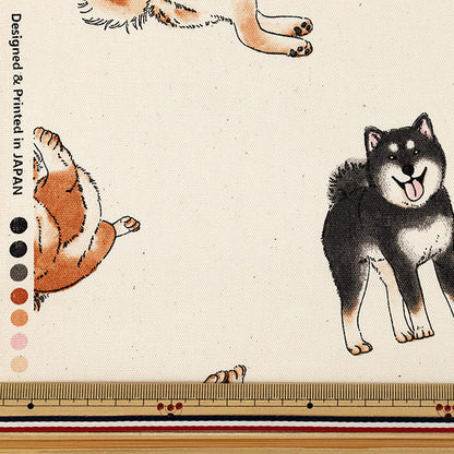 [Quantità da 5] Tessuto "Oxford Shiba Inu Kinari SP6512-2A”