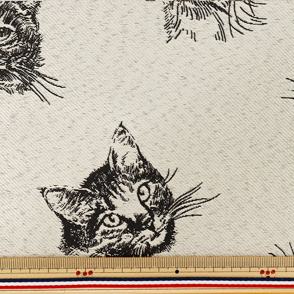 [Anzahl ab 5] Stoff "PolyesterJacquard „Katze Kinari x Schwarz AH9510-B“