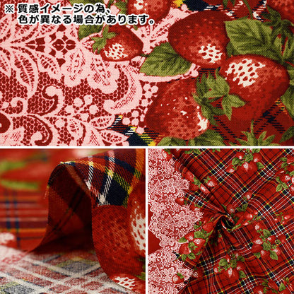 [数量5起] 织物 "板材织物 UN/NO 非常浆果格子 x 蕾丝边框米色 NN2343-C”