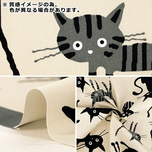 [數量5起] 織物 "牛津布 Cocoland貓圖案大Kinari AP1090-3A"