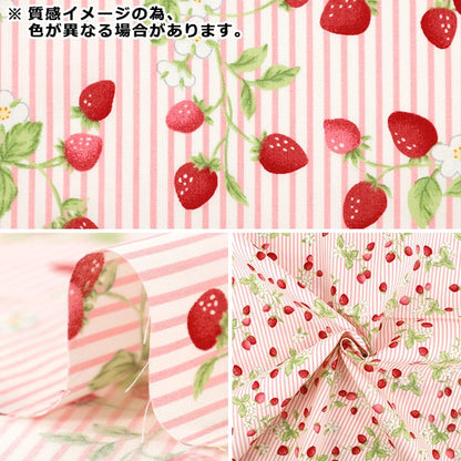 [5 件起] 织物 "Broad 志摩草莓粉色 KTS7220-A" COTTON KOBAYASHI