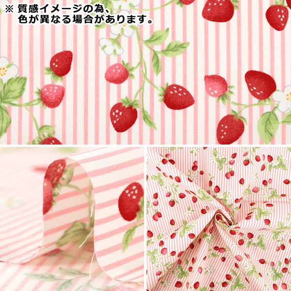 [De cantidad 5] Tela "Broad Shima Strawberry Black KTS7220-E" COTTON KOBAYASHI