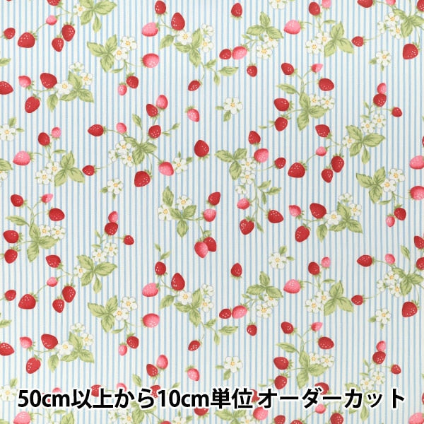 [수량 5부터] 천・원단 "브로드 시마 딸기 색소폰 KTS7220-B" COTTON KOBAYASHI
