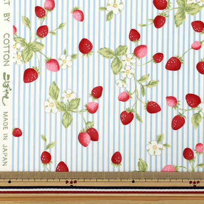 [수량 5부터] 천・원단 "브로드 시마 딸기 색소폰 KTS7220-B" COTTON KOBAYASHI