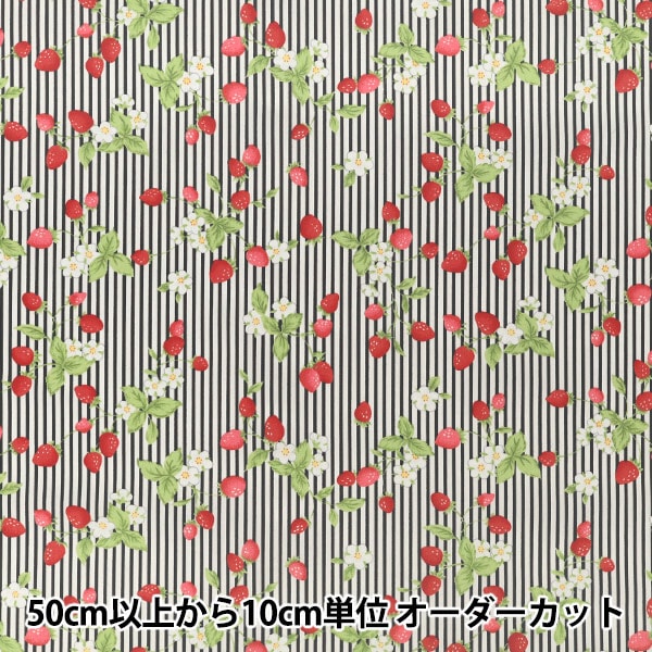[De cantidad 5] Tela "Broad Shima Strawberry Black KTS7220-E" COTTON KOBAYASHI
