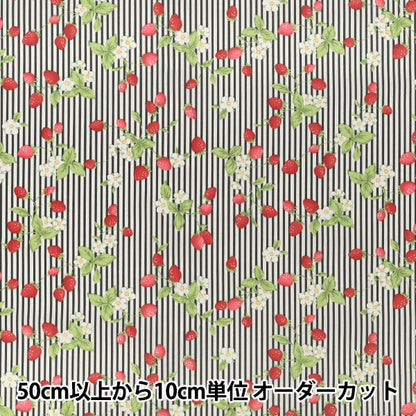 [De cantidad 5] Tela "Broad Shima Strawberry Black KTS7220-E" COTTON KOBAYASHI