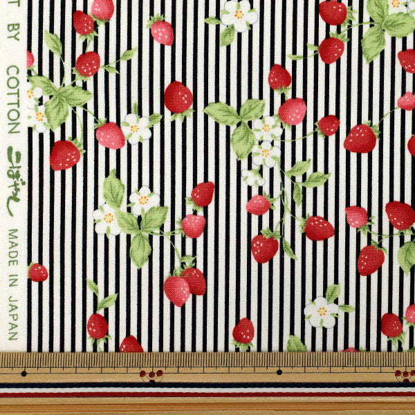 [De cantidad 5] Tela "Broad Shima Strawberry Black KTS7220-E" COTTON KOBAYASHI