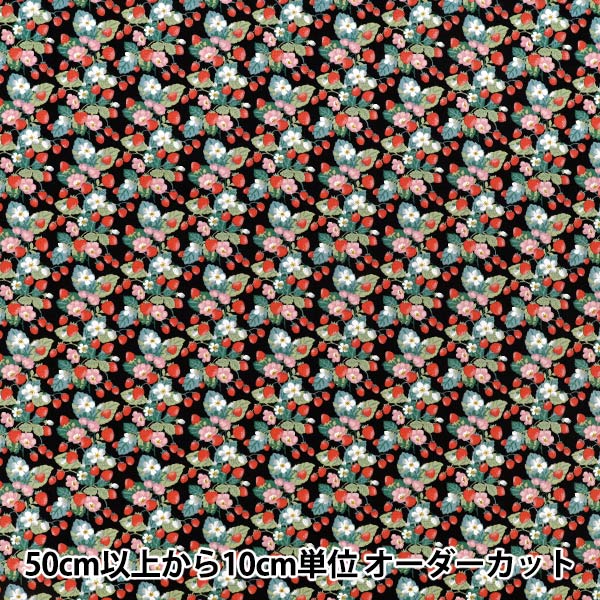 【수량 5부터】 천・원단 "브로드 할당 딸기 블랙 KTS7203-E" COTTON KOBAYASHI