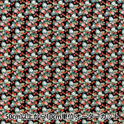 【수량 5부터】 천・원단 "브로드 할당 딸기 블랙 KTS7203-E" COTTON KOBAYASHI