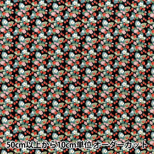 【수량 5부터】 천・원단 "브로드 할당 딸기 블랙 KTS7203-E" COTTON KOBAYASHI