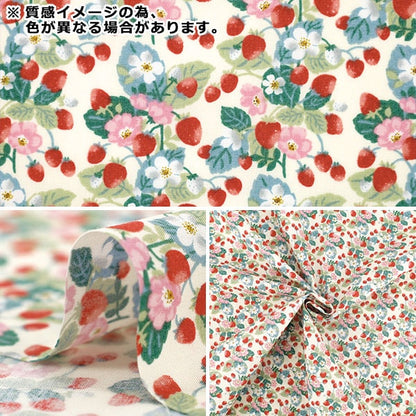 [From quantity 5] Fabric "Broad allocation strawberry pink KTS7203-B" COTTON KOBAYASHI