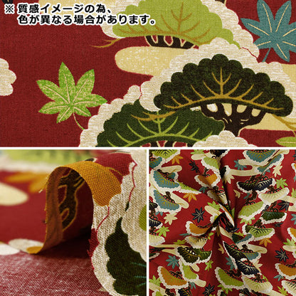 [From quantity 5] Fabric "Scare PrintFlower and gold Japanese pattern Nobori pine red B850630Z-1-2''