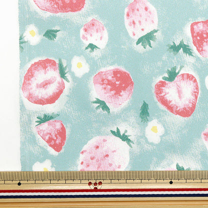 الأقمشة "البوليستر المضاد للبكتيريا ، مزيل الروائح الكريهة ، الفائقة المائية التي تصد الماء. قماش مقطوع تقريبا. 135 سم × 100 سم الفراولة Mint C-HP-SC-MT"