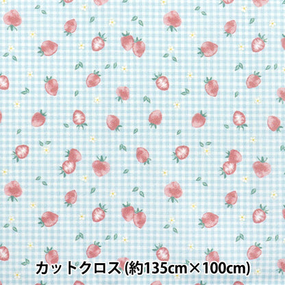 천・원단 "물을 방출하는 항균, 탈취제, 슈퍼 워터 리포터 폴리 에스테르. 컷 천 대략 135cm x 100cm 딸기 검사 블루 C-HP-SC-ST-BL"