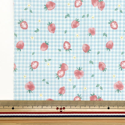 천・원단 "물을 방출하는 항균, 탈취제, 슈퍼 워터 리포터 폴리 에스테르. 컷 천 대략 135cm x 100cm 딸기 검사 블루 C-HP-SC-ST-BL"