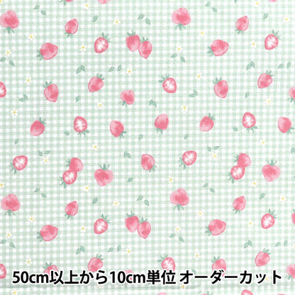 천・원단 "물을 방출하는 항균, 탈취제, 슈퍼 워터 리포터 폴리 에스테르. 컷 천 대략 135cm x 100cm 딸기 검사 Mint C-HP-SC-ST-MT"