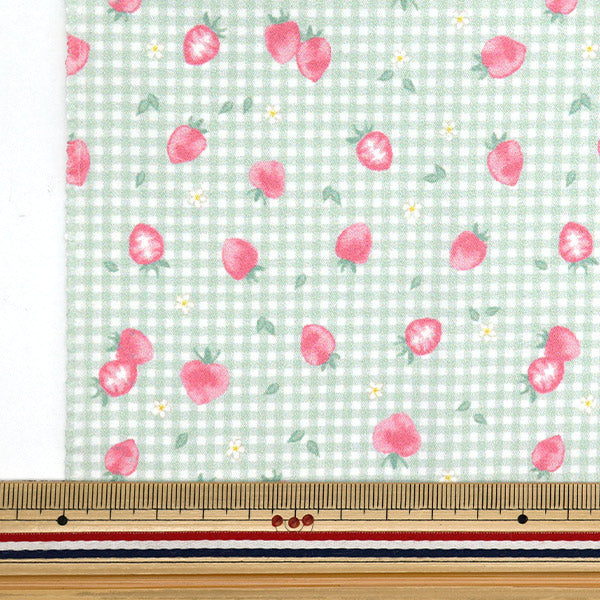 천・원단 "물을 방출하는 항균, 탈취제, 슈퍼 워터 리포터 폴리 에스테르. 컷 천 대략 135cm x 100cm 딸기 검사 Mint C-HP-SC-ST-MT"